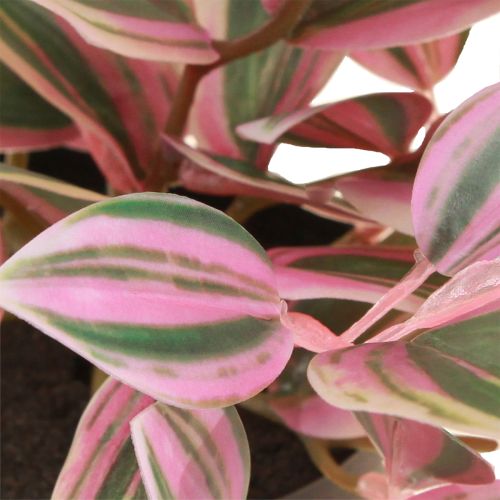 položky Tradescantia Umělá zelená rostlina v květináči H19,5cm 2ks