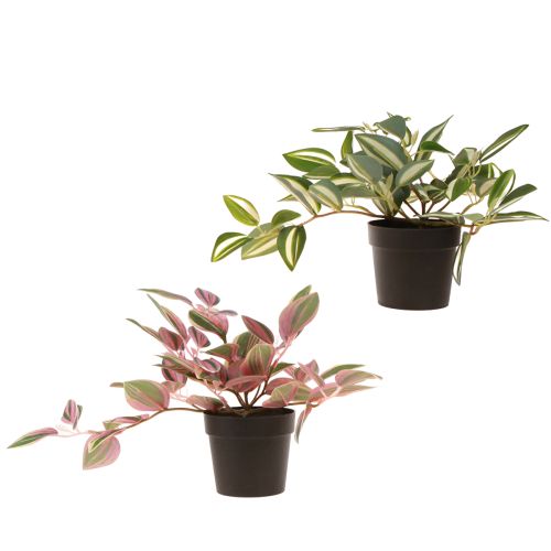 položky Tradescantia Umělá zelená rostlina v květináči H19,5cm 2ks