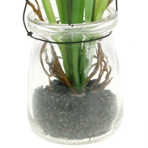 položky Hroznový hyacint bílý ve sklenici na zavěšení V22cm