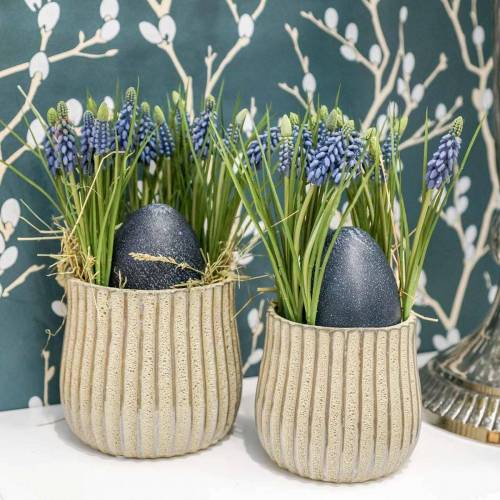 položky Hroznové hyacinty 28cm - 30cm Modré 15 ks
