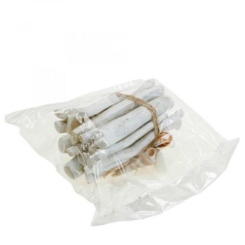 položky Driftwood Deco Driftwood Wood Bundle White L15cm