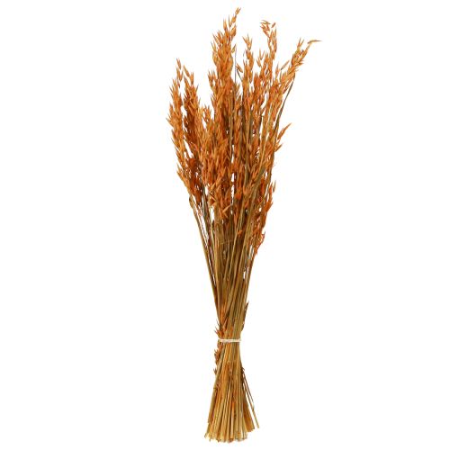 Floristik24 Dry Deco Oat Deco in Orange L64cm 70-75g 2ks
