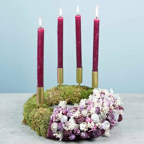 Floristik24 Sušené květiny Broom Bloom bělené 140g
