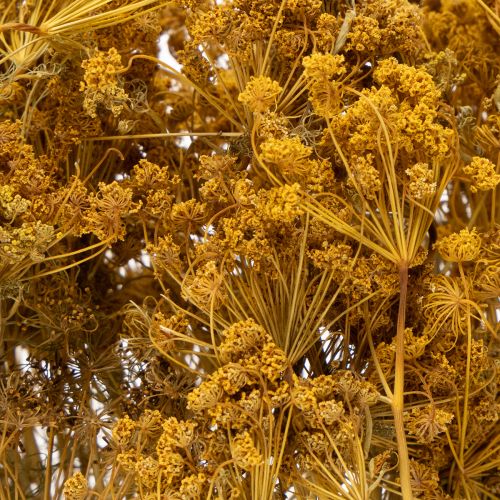 položky Kytice sušených květin s jemnými květy pro romantickou vintage dekoraci 55 cm