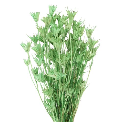 Sušené květy černého kmínu, zelené nigelly 50 cm 100 g