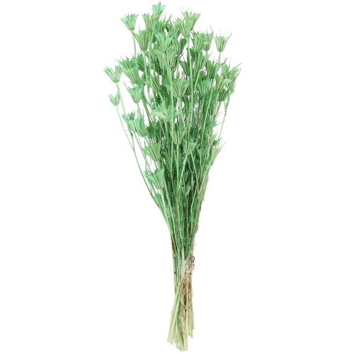 položky Sušené květy černého kmínu, zelené nigelly 50 cm 100 g