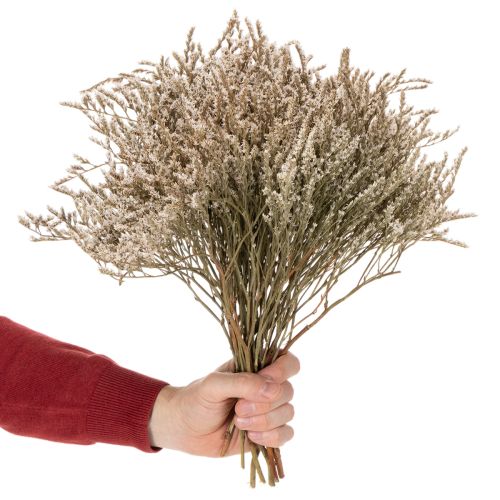 Sušené květiny levandule plážová kytice Statice nature 1kg | Floristik24.cz