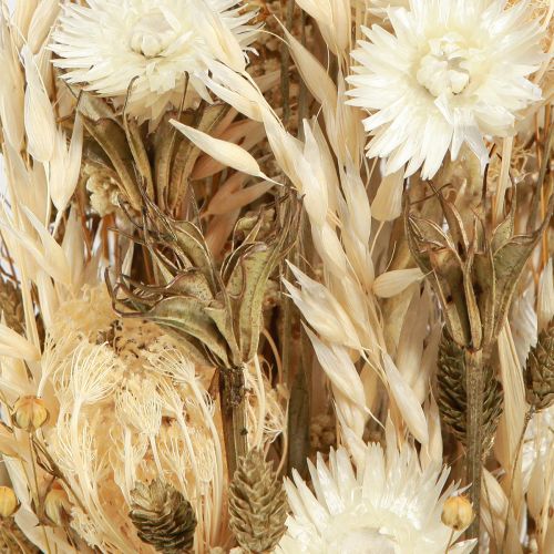 položky Sušené květy bílé zlato s kloboukovými květy Phalaris 30cm 200g