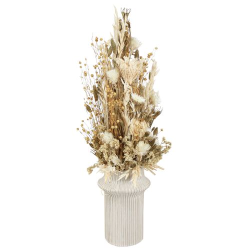 Floristik24 Sušené květy bílé zlato s kloboukovými květy Phalaris 30cm 200g