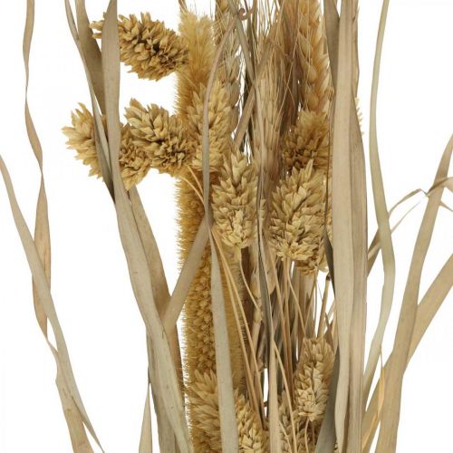 Floristik24 Sušené trávy a obiloviny natural ve svazku sušené kytice 48cm