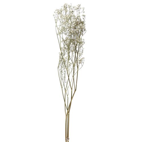 Floristik24 Sušené květy Gypsophila Gypsophila White 58cm 7g