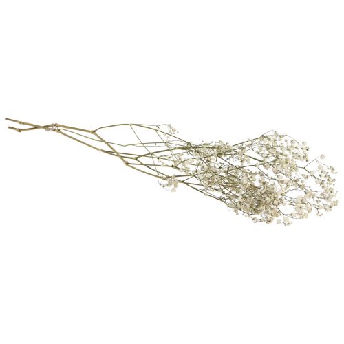 Floristik24 Sušené květy Gypsophila Gypsophila White 58cm 7g