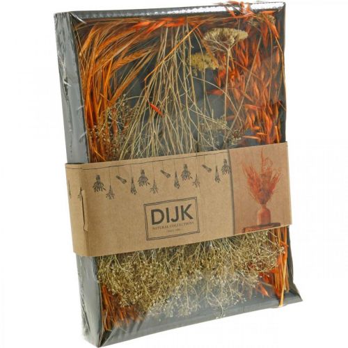 Floristik24 Sušené květiny Box Orange Suché květinářství Set