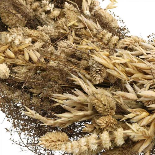 Floristik24 Dekorativní věnec ze sušených květin velké obiloviny a trávy natur Ø50cm