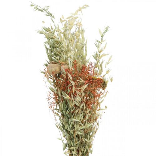 Kytice ze sušených květin obilovin a máku suchá dekorace 60cm 100g