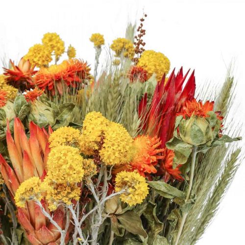 Floristik24 Kytice ze sušených květin kytice z lučních květin oranžová V50cm 300g