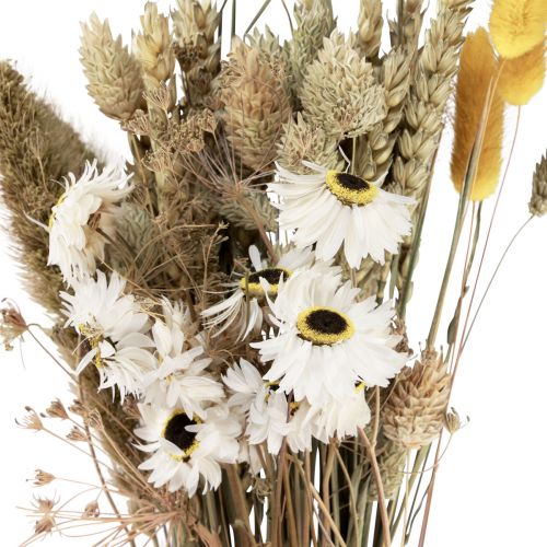 položky Sušená kytice slámových květů Phalaris bílá žlutá 30cm