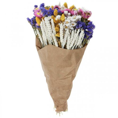 Floristik24 Sušená kytice slámových květů plážové levandule Phalaris grain 55cm