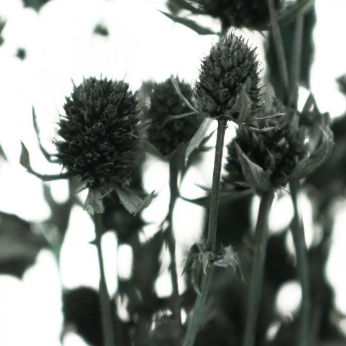 Ostropestřec sušený Ostropestřec černý Sušené květy 100g