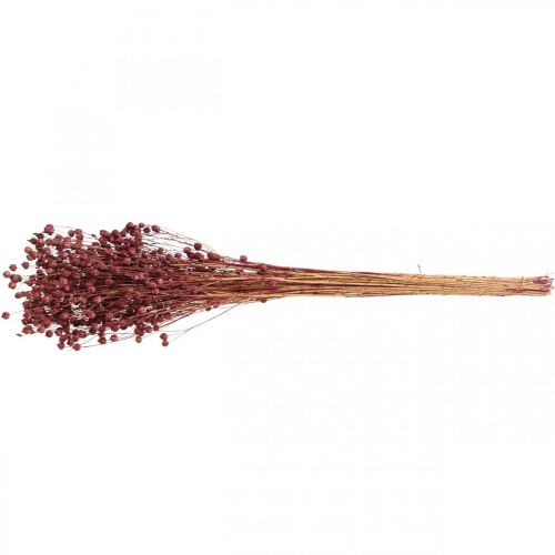 položky Suchá tráva Len starorůžový sušený V50–55cm 80g