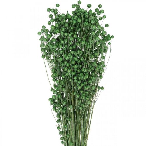 položky Sušená tráva sušený len zelený H50–55cm 80g