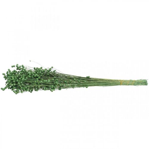 položky Sušená tráva sušený len zelený H50–55cm 80g