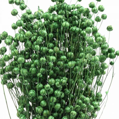 položky Sušená tráva sušený len zelený H50–55cm 80g