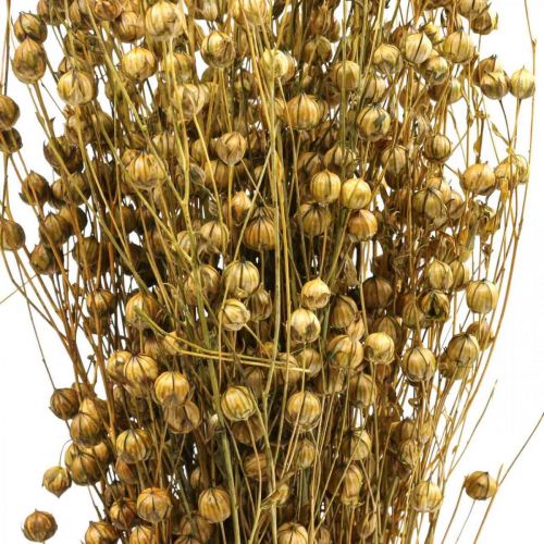 položky Sušená tráva sušená len olivově zelená H50–55cm 80g