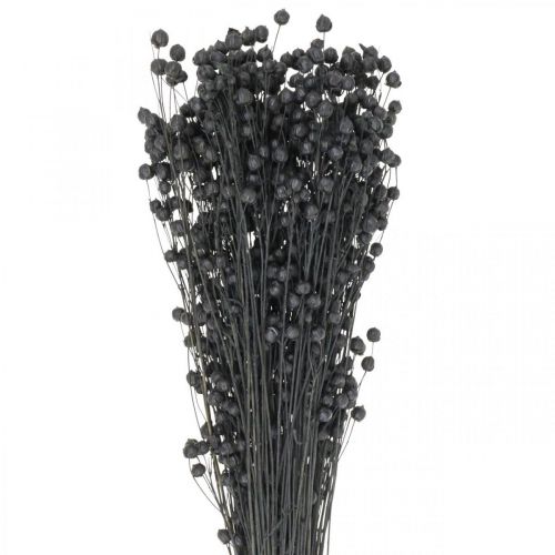 položky Sušená tráva sušený len černý H50–55cm 80g