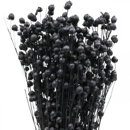 položky Sušená tráva sušený len černý V50–55cm 80g