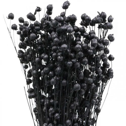 položky Sušená tráva sušený len černý H50–55cm 80g