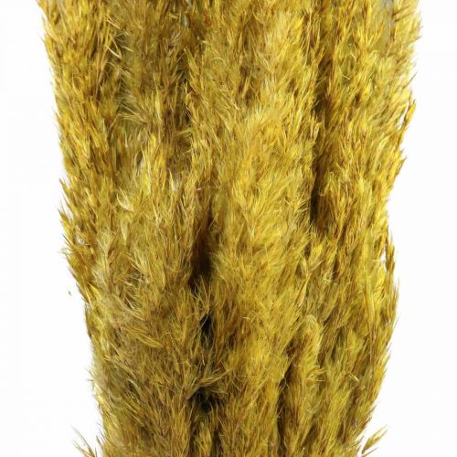 položky Dekorace ostřice suchá tráva sušená žlutá 70cm 10 ks