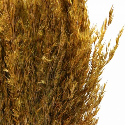 položky Ostřice suchá sušená olivově zelená dekorativní tráva 70cm 10 kusů