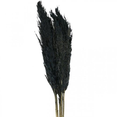 Floristik24 Sušená tráva Ostřicová tráva sušená černá dekorativní tráva 70cm 10 kusů
