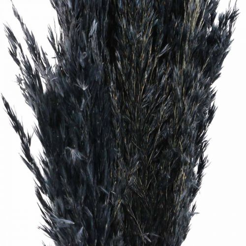 položky Ostřice suchá sušená černá dekorativní tráva 70cm 10 kusů