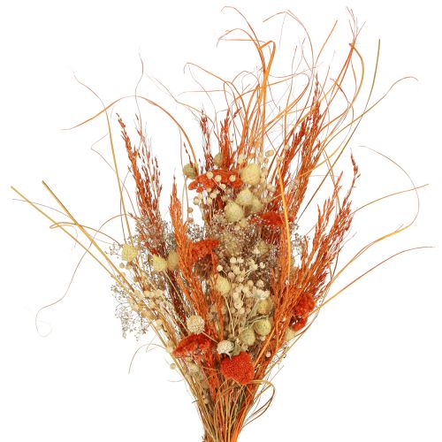 položky Suchá kytice bodlák řebříček oranžový bělený 55cm 150g