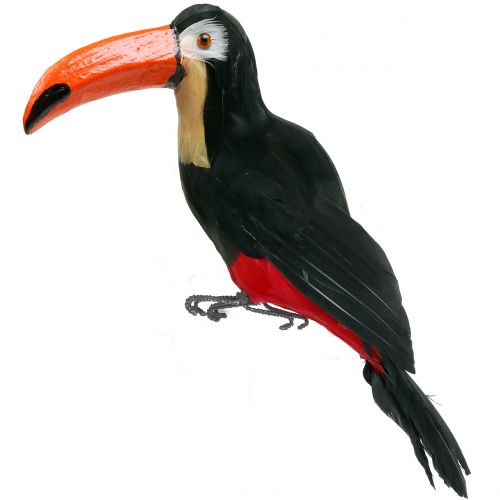 Floristik24 Deco tukan s peřím černý L37cm
