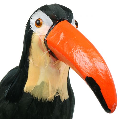 Floristik24 Deco tukan s peřím černý L37cm