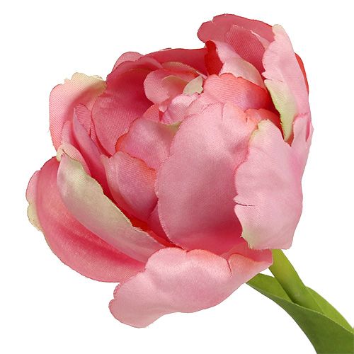 položky Tulipán růžový 37cm 6ks