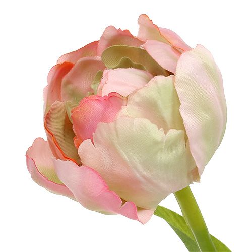 Floristik24 Tulipán růžový, zelený 37cm 6ks