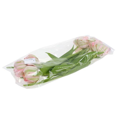 Floristik24 Tulipán růžový, zelený 37cm 6ks