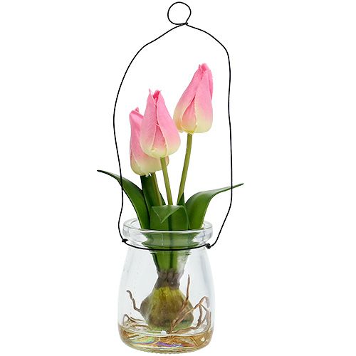 Tulipán ve skle růžový V22,5cm 1ks