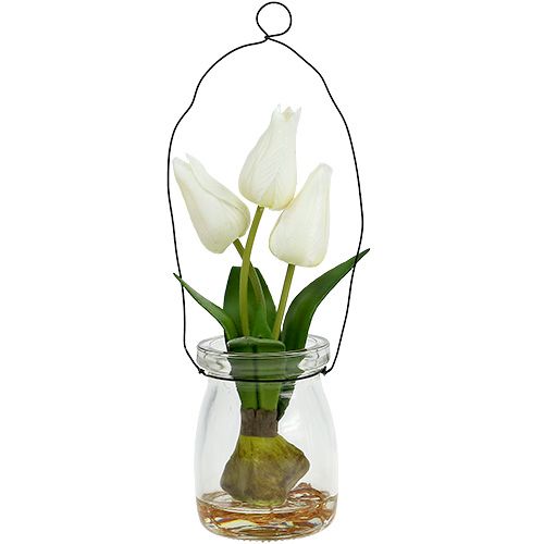 Floristik24 Tulipán bílý ve sklenici V21cm 1ks
