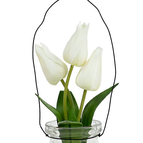položky Tulipán bílý ve sklenici V21cm 1ks