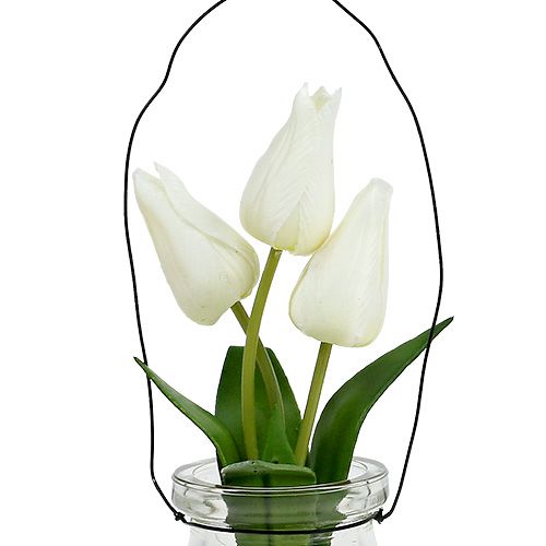 Floristik24 Tulipán bílý ve sklenici V21cm 1ks