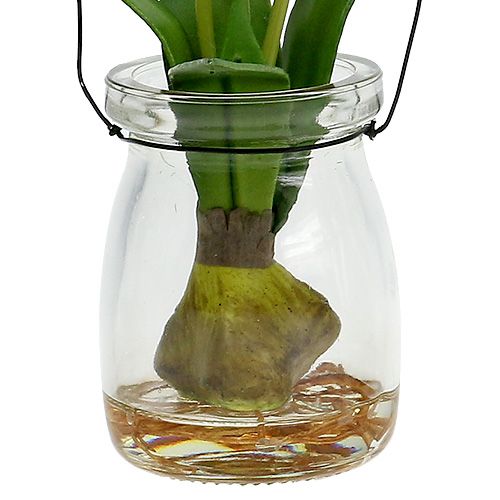 Floristik24 Tulipán bílý ve sklenici V21cm 1ks