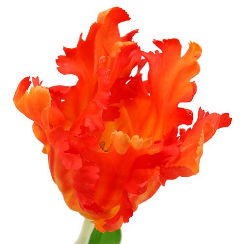 položky Tulipán oranžový 70 cm