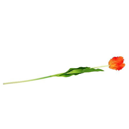 Floristik24 Tulipán oranžový 70 cm