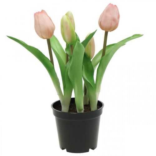 Floristik24 Tulipán růžový, zelený v květináči Umělá hrnková rostlina dekorativní tulipán V23cm