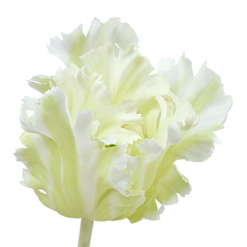 Floristik24 Umělý bílý tulipán 70cm
